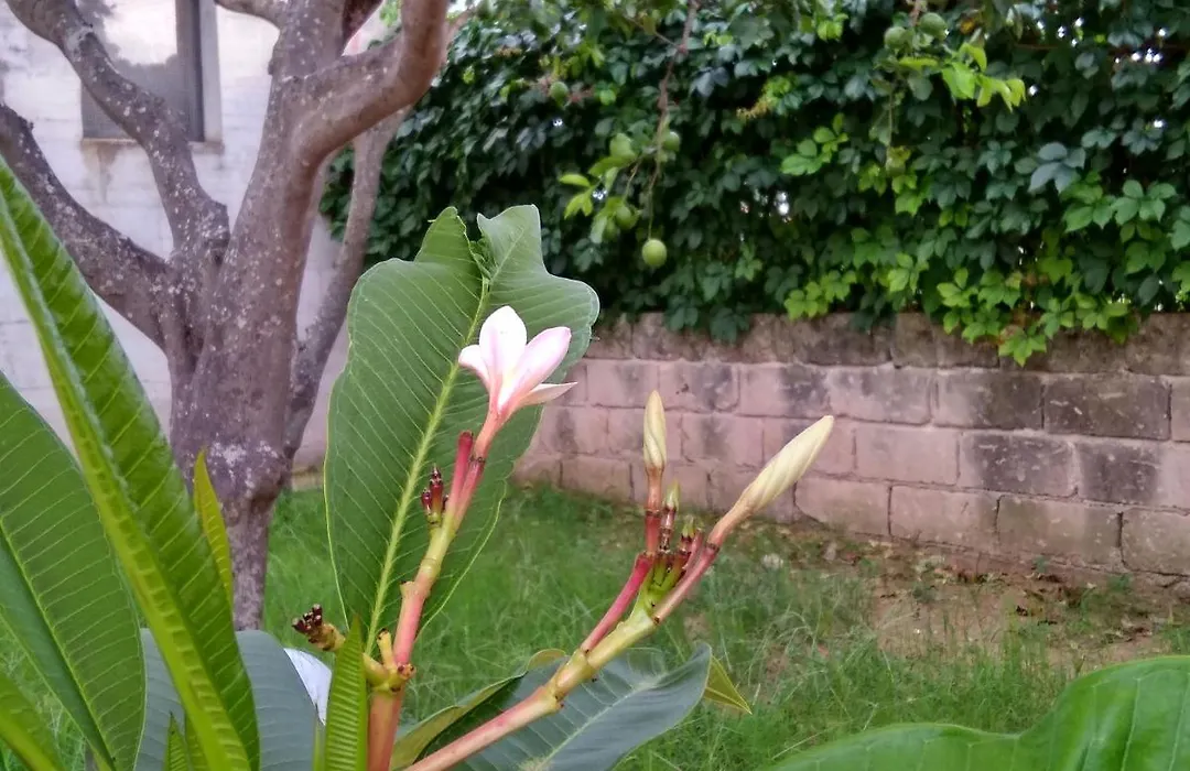 Casa Caracoles-1